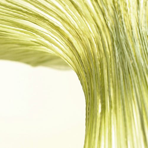 Nowak GmbH Kanzlei 4